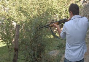 Katil ayıya af çıktı